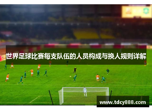 世界足球比赛每支队伍的人员构成与换人规则详解