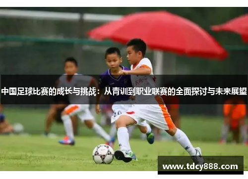 中国足球比赛的成长与挑战：从青训到职业联赛的全面探讨与未来展望