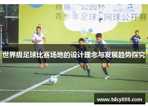 世界级足球比赛场地的设计理念与发展趋势探究